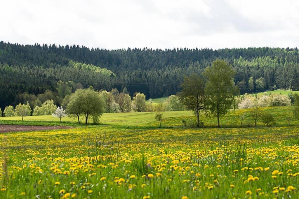 Gaestehaus Kohlberg Kohlberg  Extérieur photo